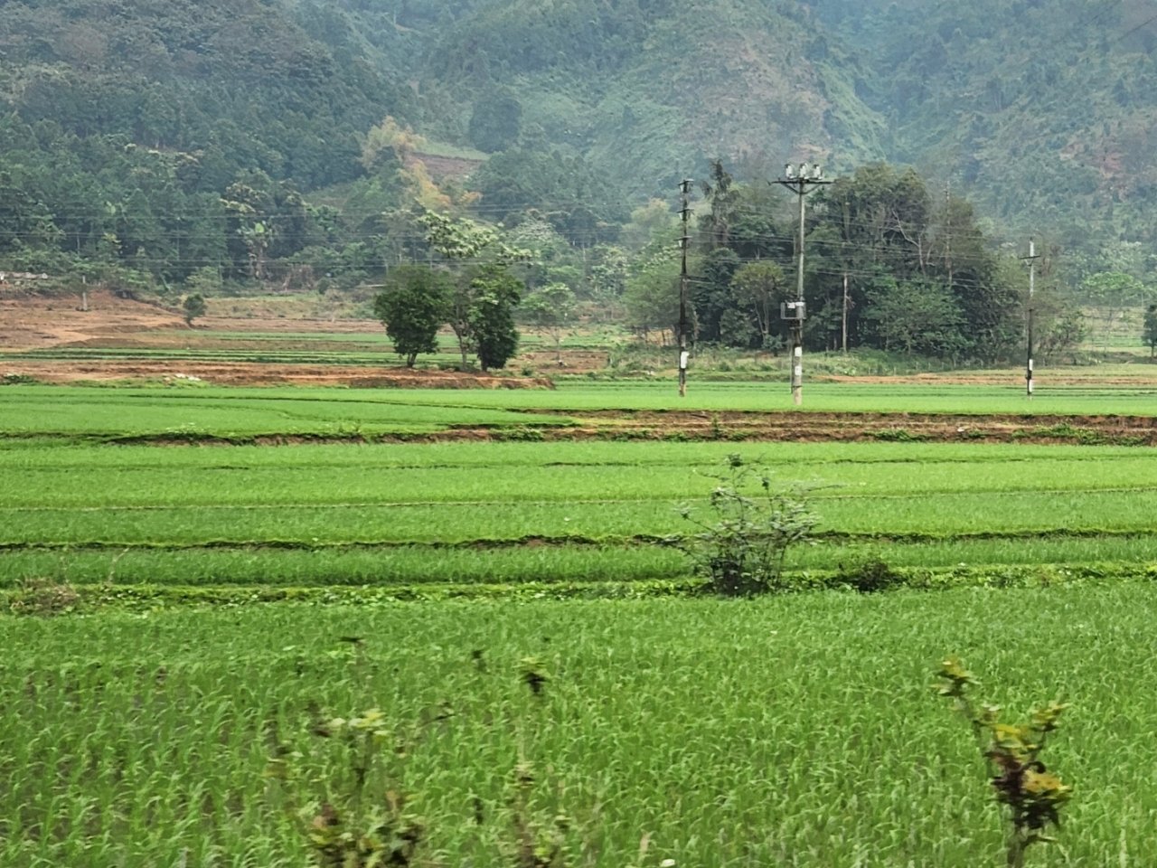 10-Day Cao Bang, Ban Gioc & Ha Giang Cycling Tour